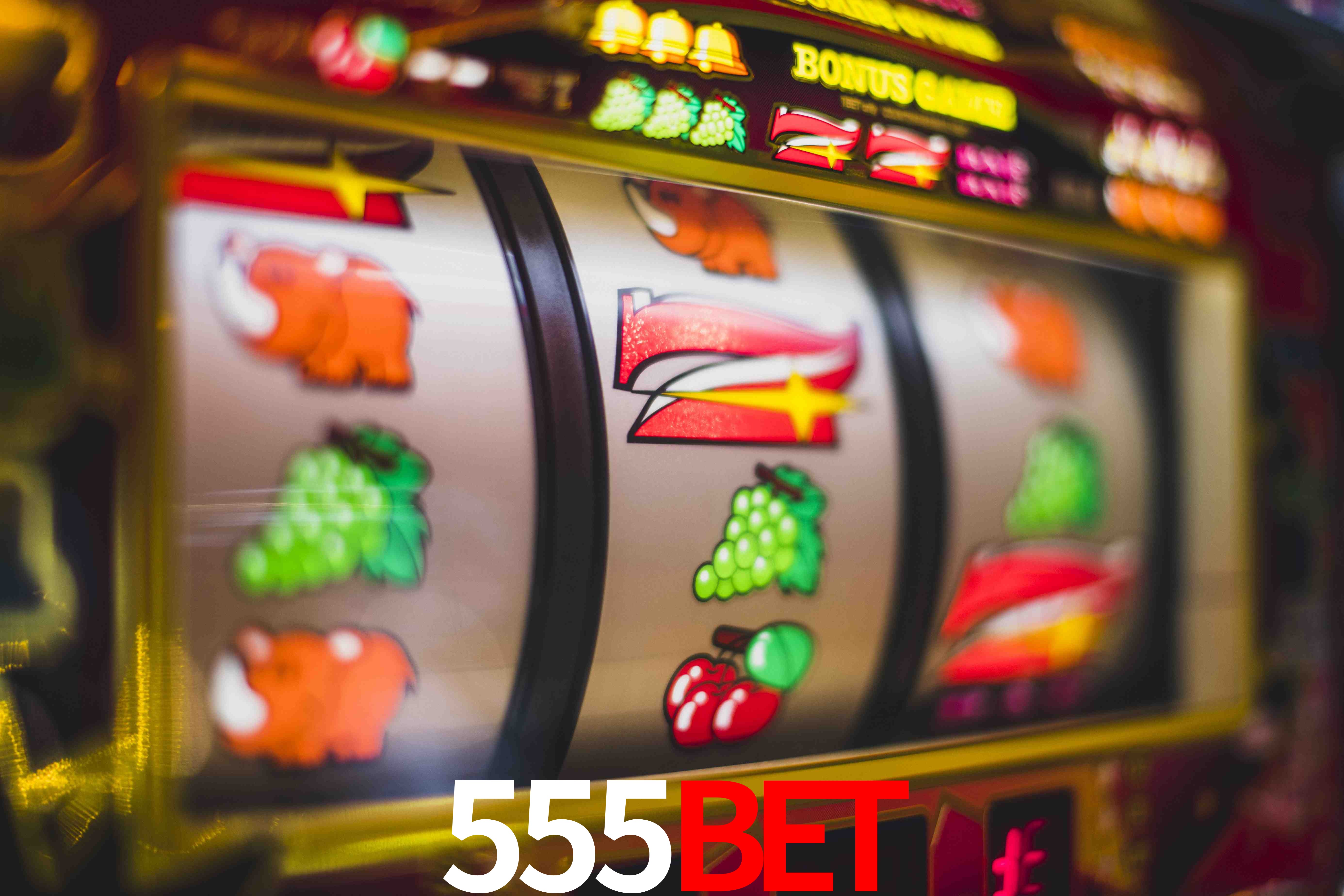 Live Casino 555bet